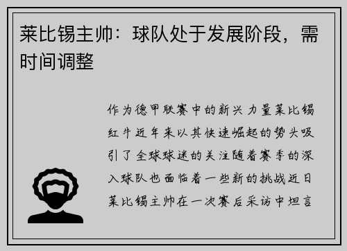 莱比锡主帅：球队处于发展阶段，需时间调整
